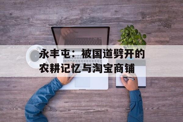 永丰屯：被国道劈开的农耕记忆与淘宝商铺-第1张图片-