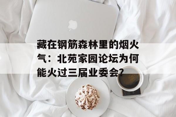 藏在钢筋森林里的烟火气:北苑家园论坛为何能火过三届业委会?-第1张图片- 藏在钢筋森林里的烟火气:北苑家园论坛为何能火过三届业委会?-第1张图片-