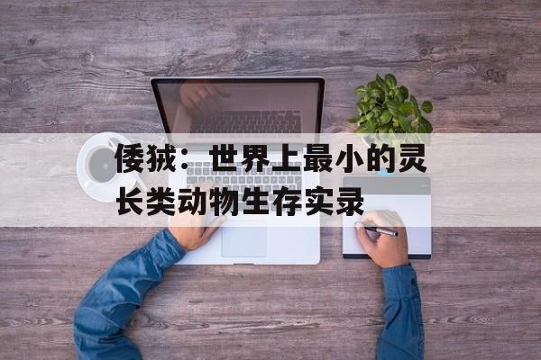 倭狨：世界上最小的灵长类动物生存实录-第1张图片-