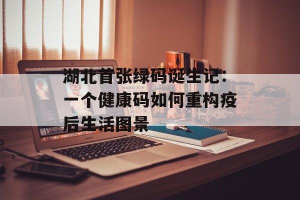 湖北首张绿码诞生记：一个健康码如何重构疫后生活图景-第1张图片-