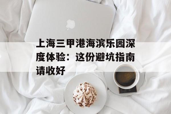 上海三甲港海滨乐园深度体验：这份避坑指南请收好-第1张图片-