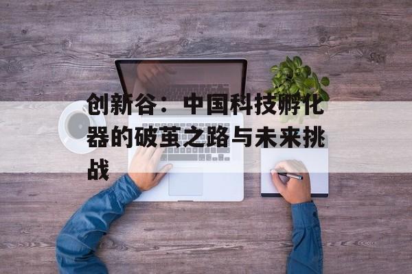 创新谷：中国科技孵化器的破茧之路与未来挑战-第1张图片-