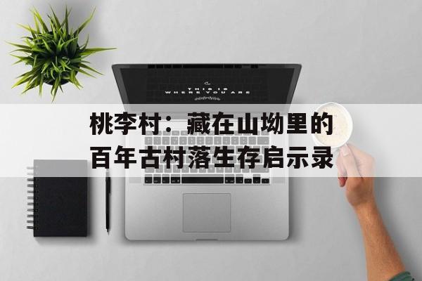 桃李村：藏在山坳里的百年古村落生存启示录-第1张图片-