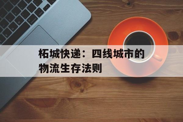 柘城快递：四线城市的物流生存法则-第1张图片-