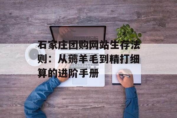 石家庄团购网站生存法则：从薅羊毛到精打细算的进阶手册-第1张图片-