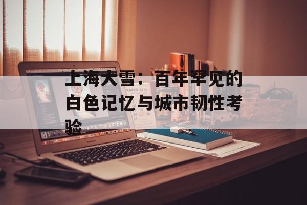 上海大雪：百年罕见的白色记忆与城市韧性考验-第1张图片-
