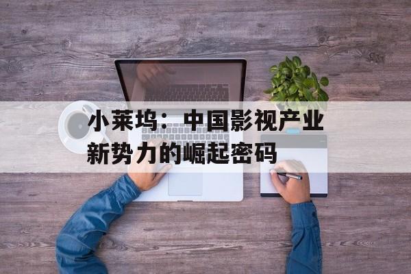 小莱坞:中国影视产业新势力的崛起密码-第1张图片- 小莱坞:中国影视产业新势力的崛起密码-第1张图片-