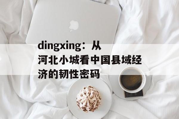 dingxing：从河北小城看中国县域经济的韧性密码-第1张图片-