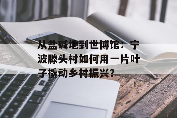 从盐碱地到世博馆：宁波滕头村如何用一片叶子撬动乡村振兴？-第1张图片-