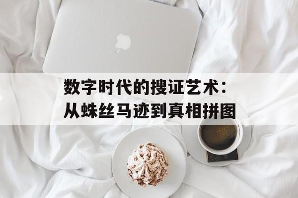 数字时代的搜证艺术：从蛛丝马迹到真相拼图-第1张图片-
